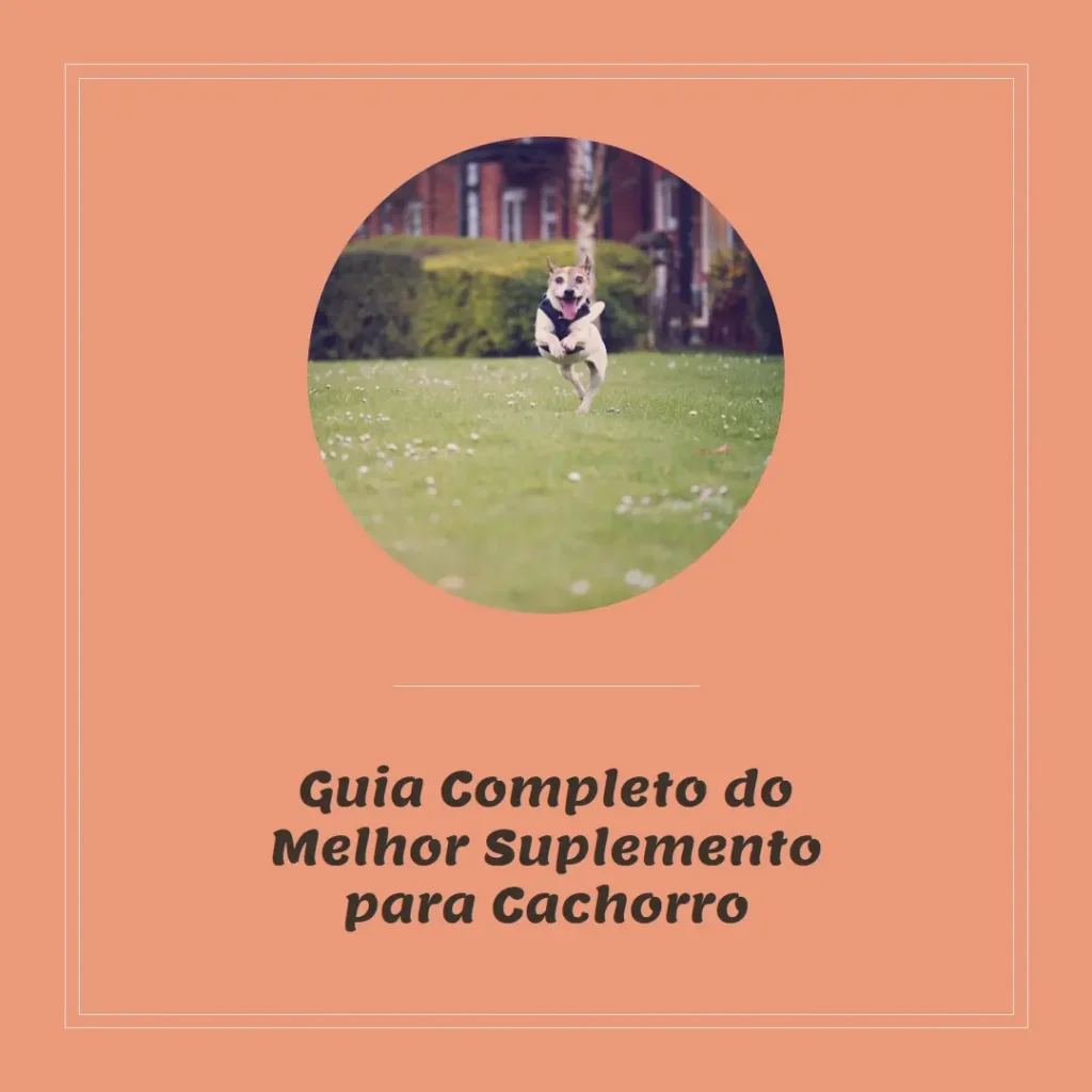 O Melhor Suplemento para Cachorro: Guia Completo