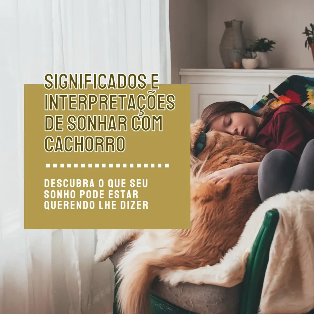 Sonhar com Cachorro: Significados e Interpretações