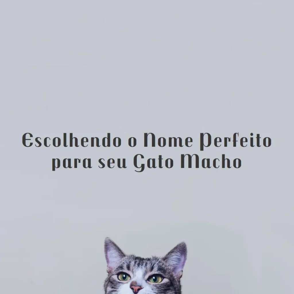 Nome de Gato Macho: Escolhendo o Nome Perfeito