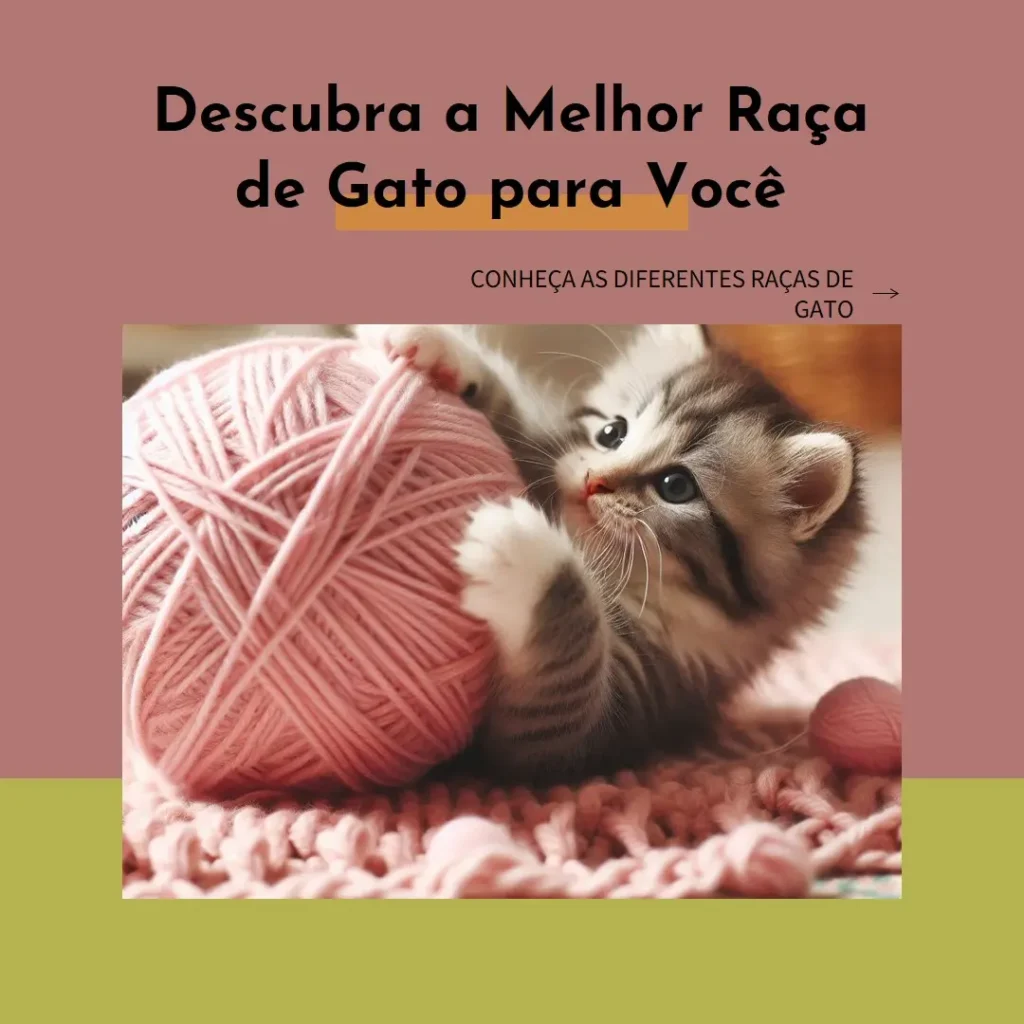 Raças de Gato: Descubra a Melhor para Você