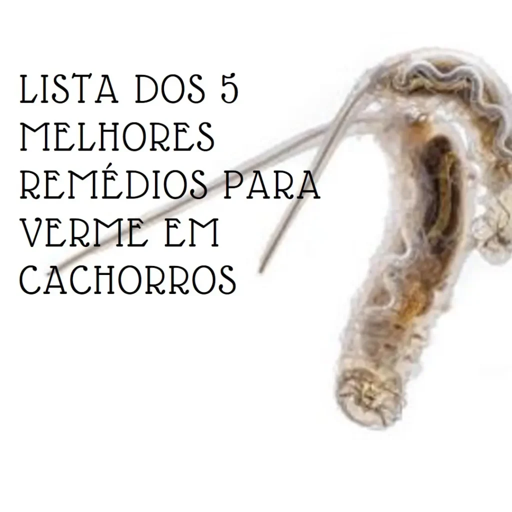 Lista de 5 Melhores:  remedio pra verme para cachorro