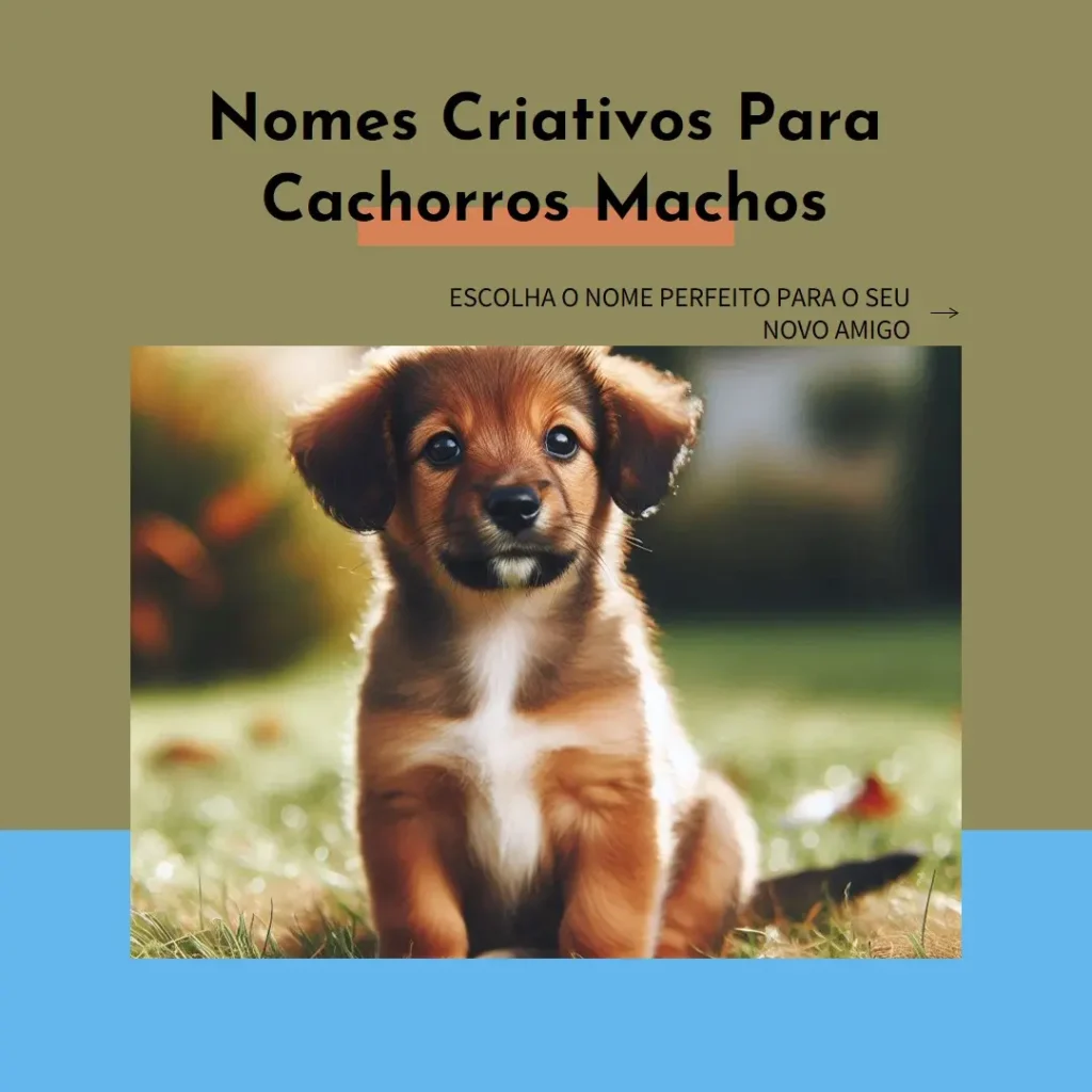 Nomes Criativos para Cachorros Machos