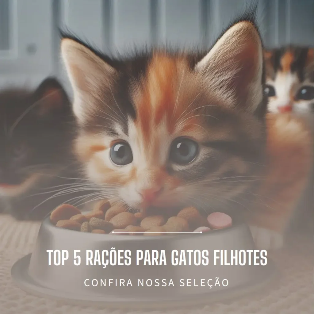 Top Cinco ração gato filhote