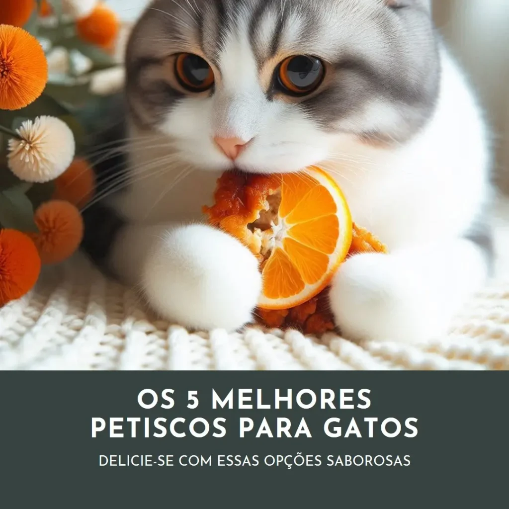 Cinco Principais Opções de  petisco gato