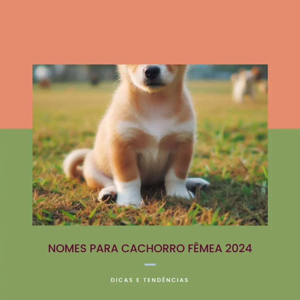 Nomes para Cachorro Fêmea 2024: Dicas e Tendências
