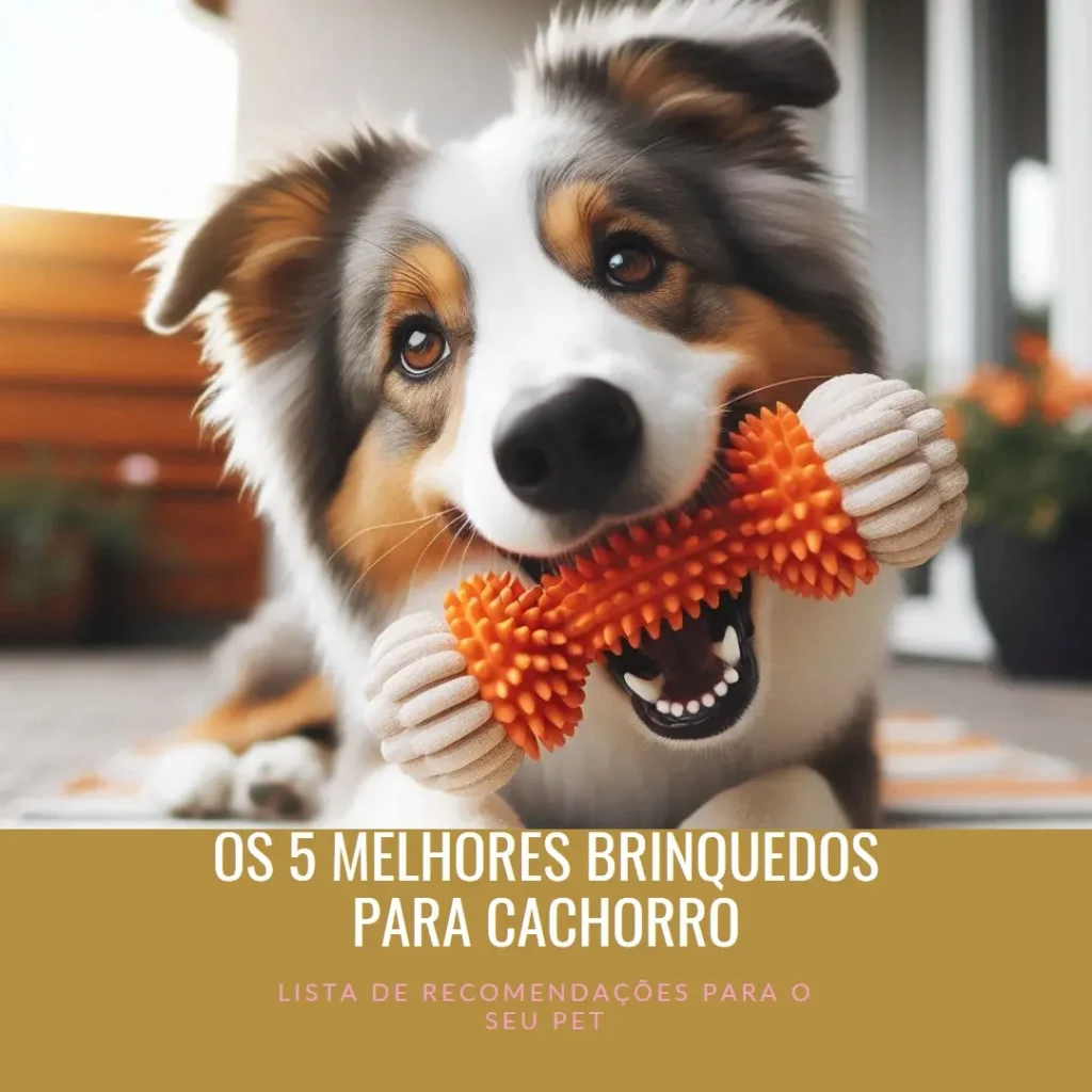 Lista de 5 Melhores: brinquedos para cachorro