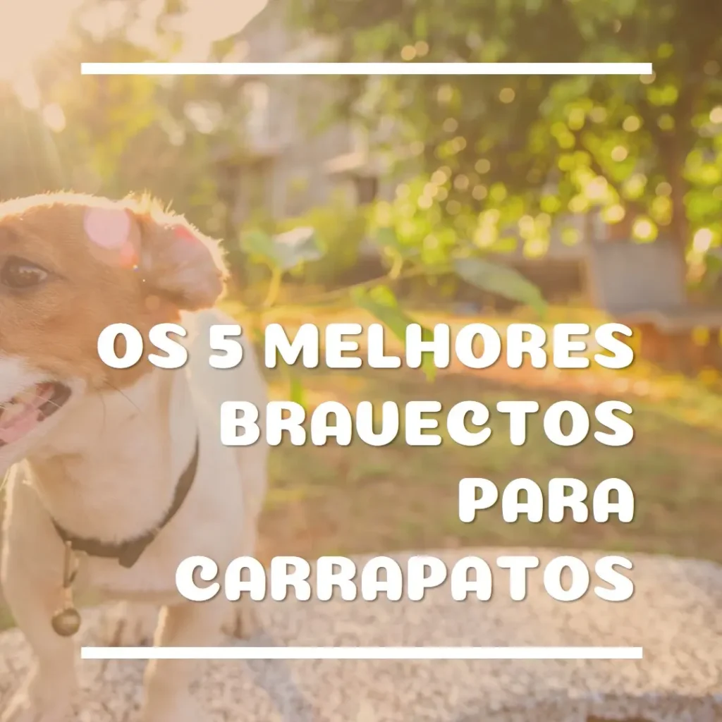Principais 5 bravecto para carrapato