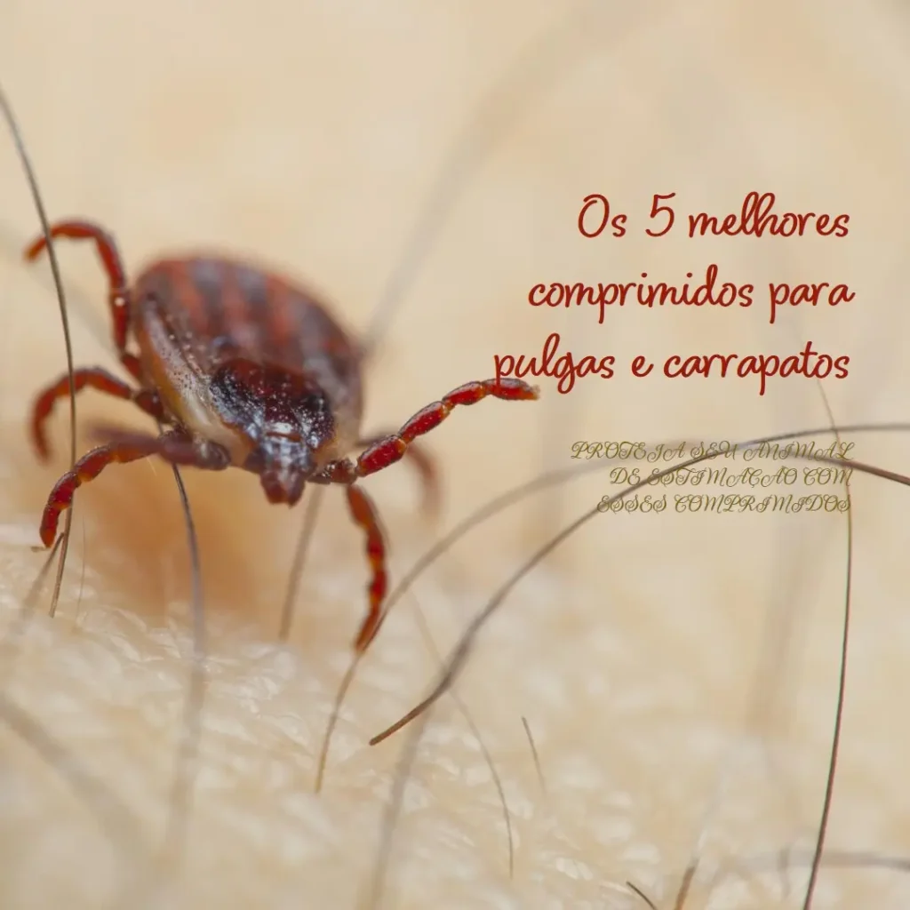 Principais 5 comprimido pulga e carrapato