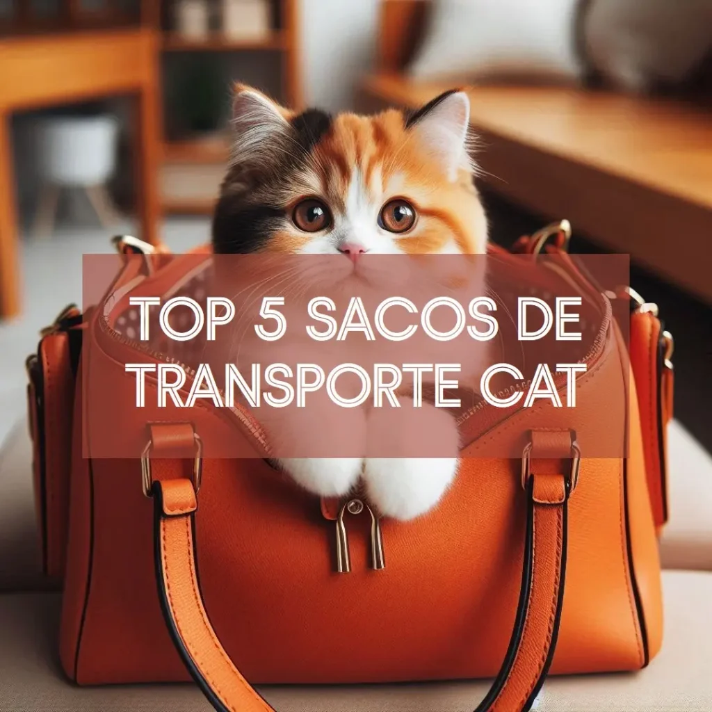 Top 5 bolsa transporte gato