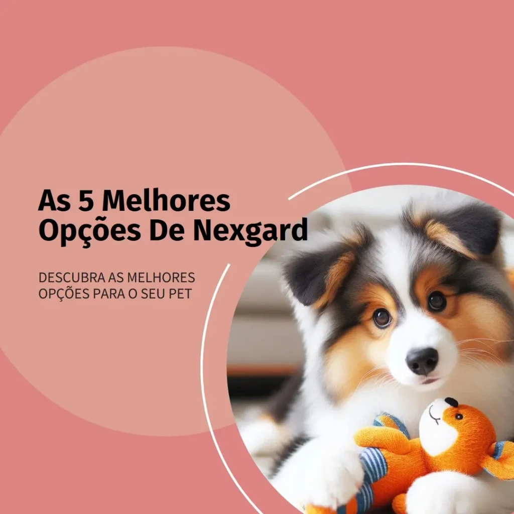 As 5 Melhores Opções de nexgard