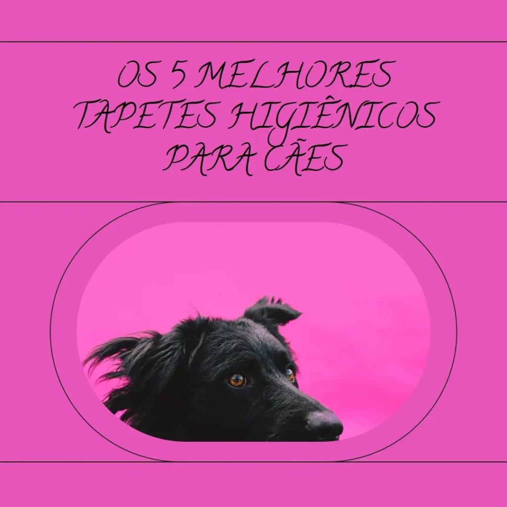 Principais 5 sanol dog tapete higienico