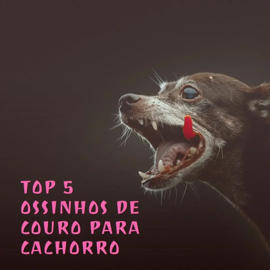 Top Cinco ossinho de couro para cachorro