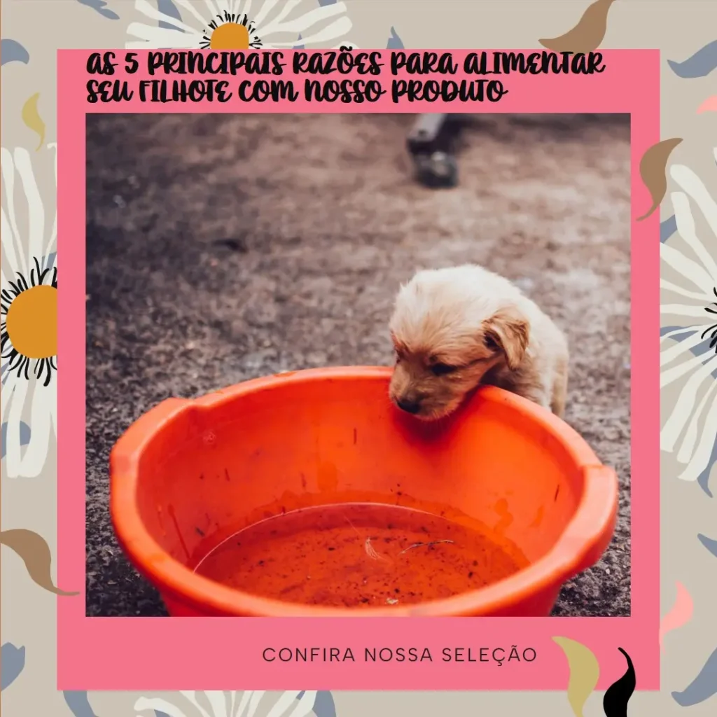 Principais 5 racao para cachorro filhote