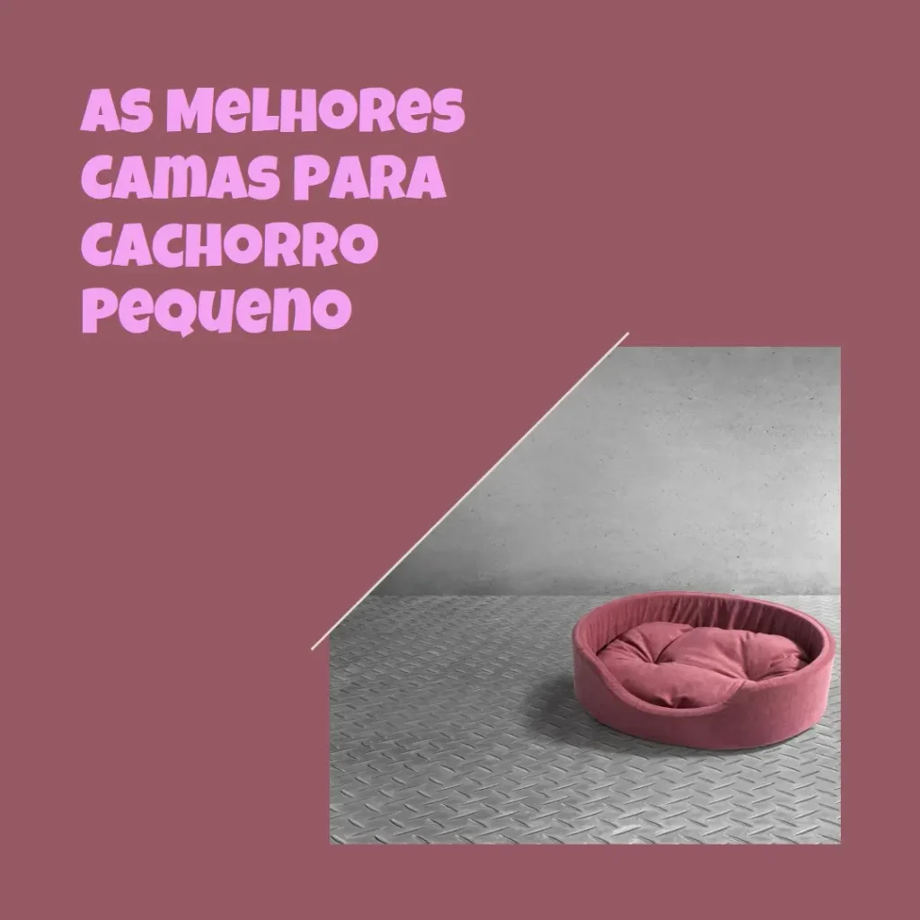 Melhores 5 cama para cachorro pequeno