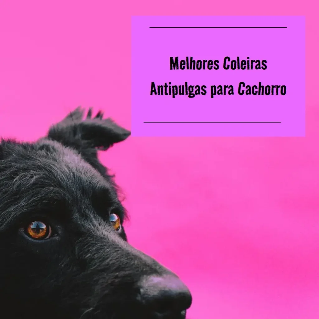 Melhores 5 coleira antipulgas cachorro