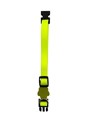 Coleira Neon Para Cachorros,M,Coleira Ajustável,Passeio e Viagem,Confortável e Resistente,Flourescente