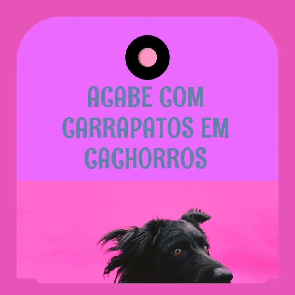 Como Acabar com Carrapato de Cachorro