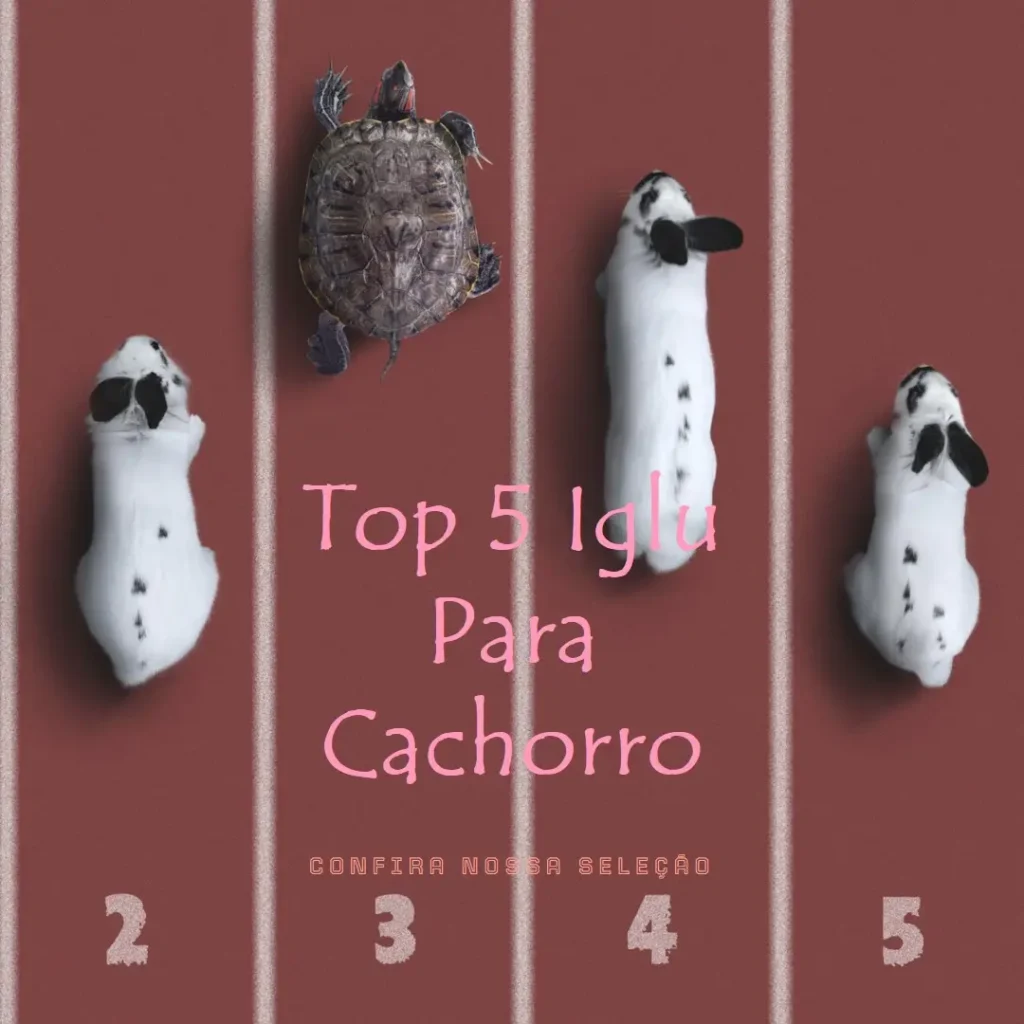 Top 5 iglu para cachorro