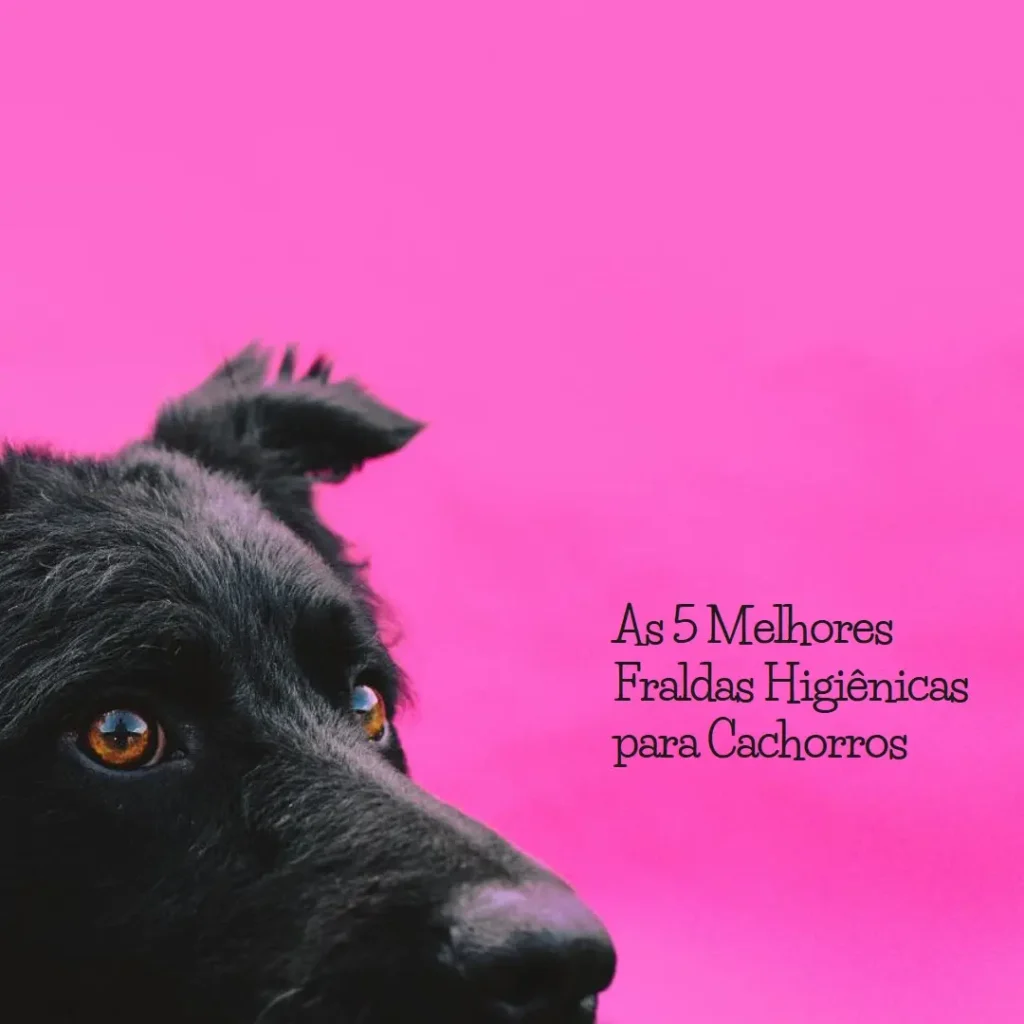 Top 5 Opções de fralda higienica cachorro