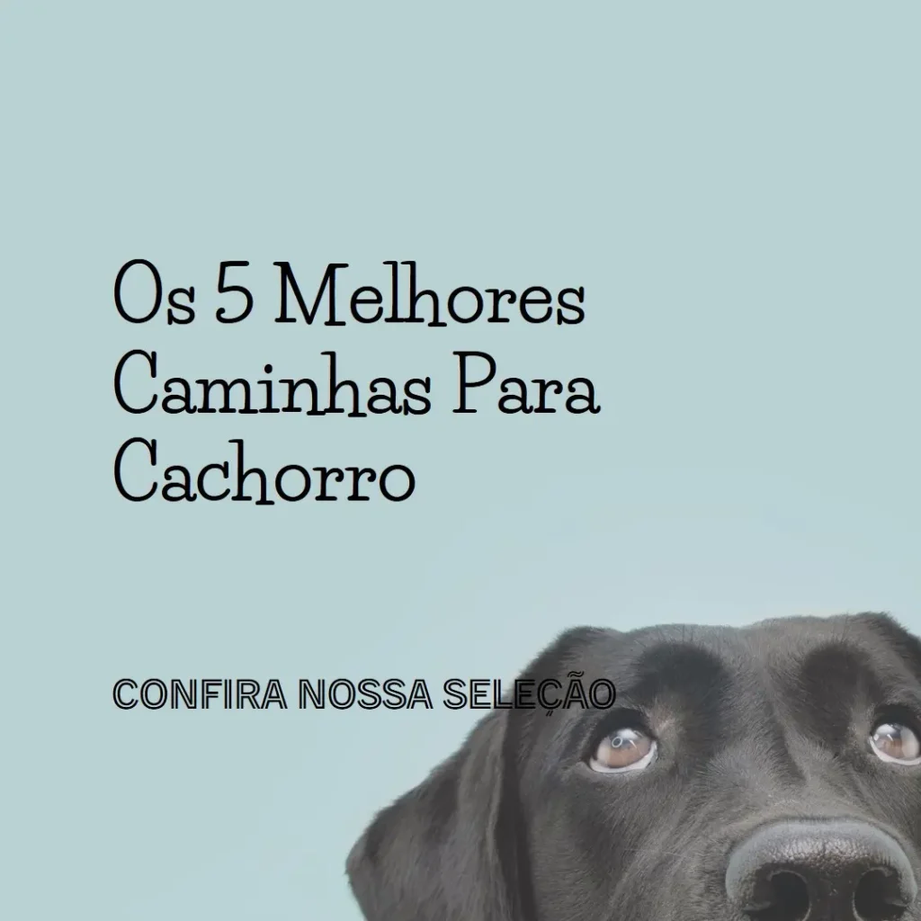 Melhores 5 caminha para cachorro