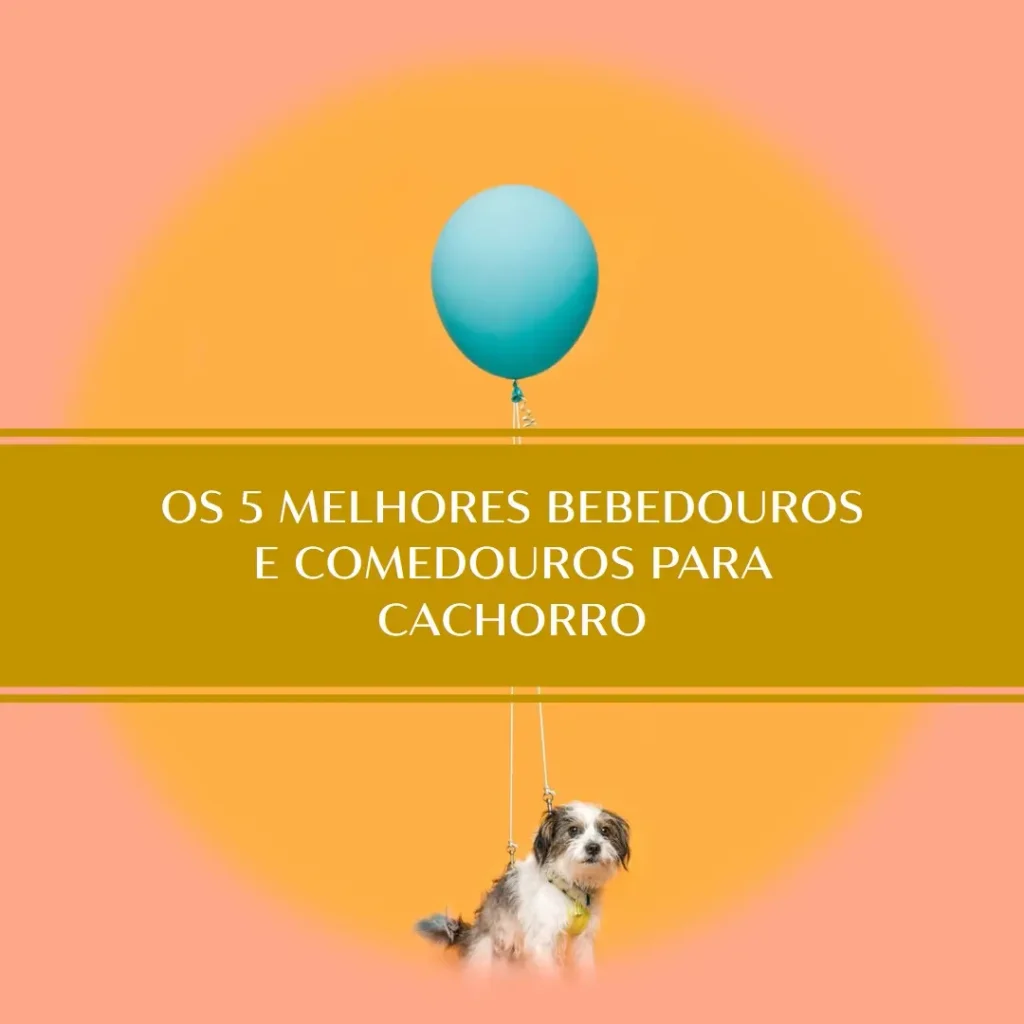 Principais 5 bebedouro e comedouro para cachorro
