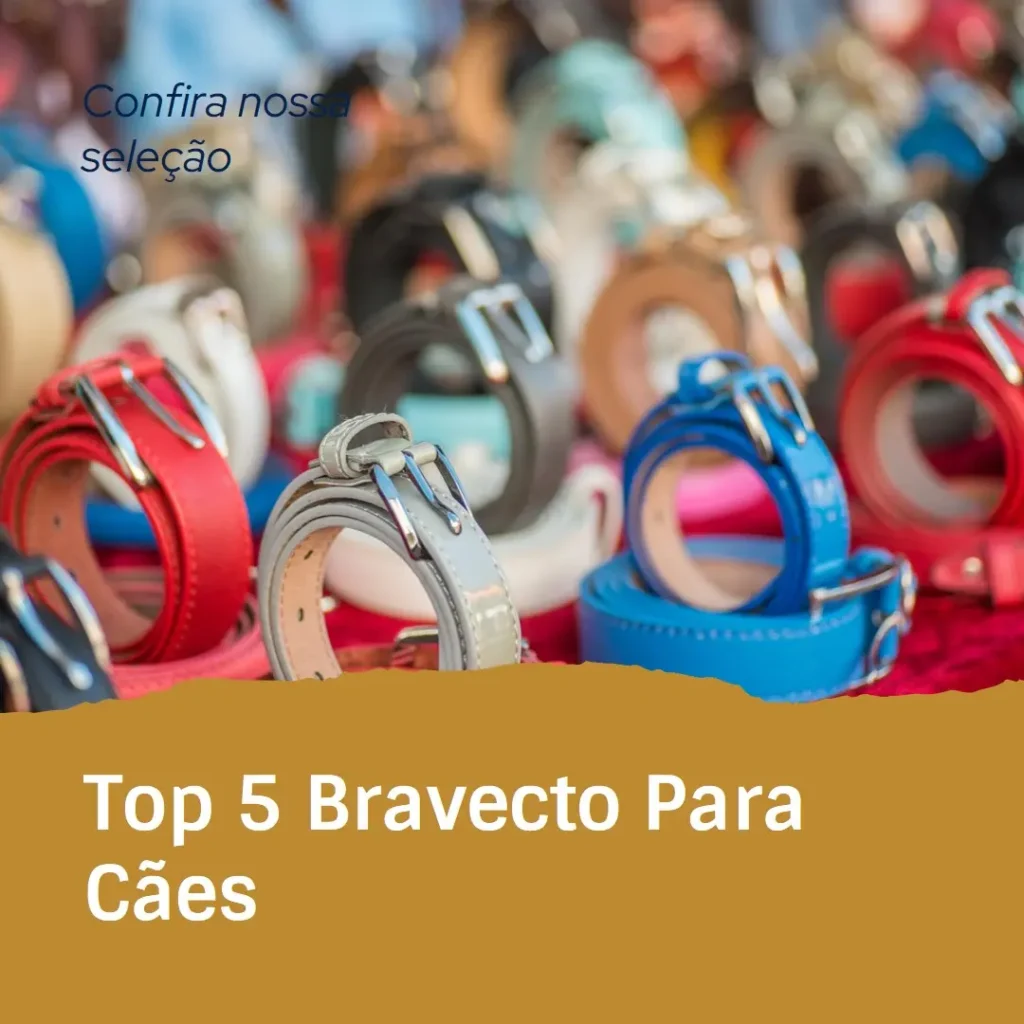 Top 5 bravecto para cães