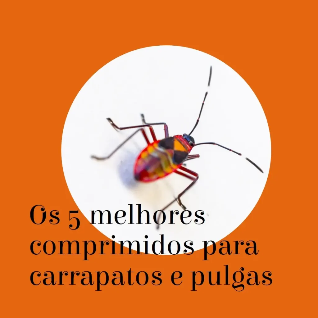 Lista de 5 Melhores: comprimido para carrapato e pulga