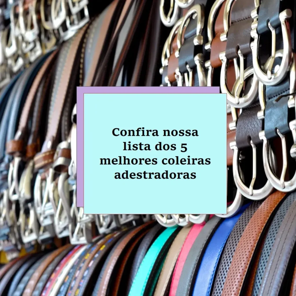 Lista de 5 Melhores: coleira adestrador