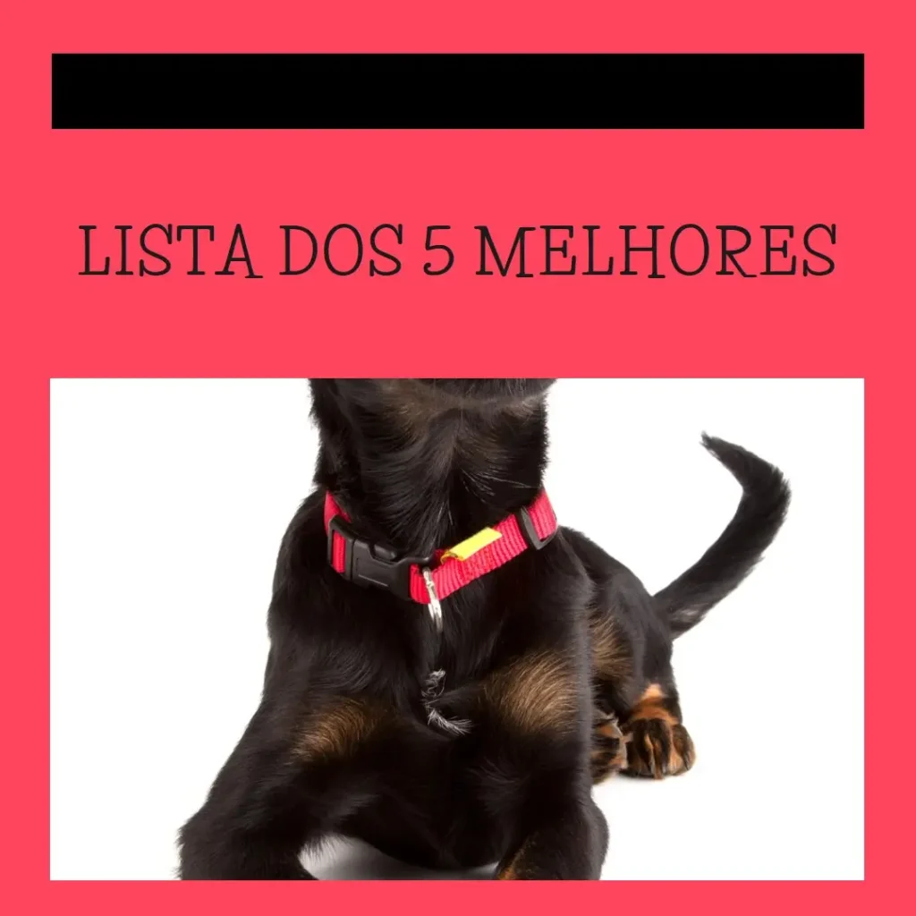 Lista de 5 Melhores: coleira guia cachorro