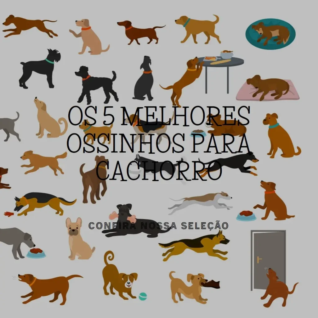 Melhores 5 ossinho para cachorro