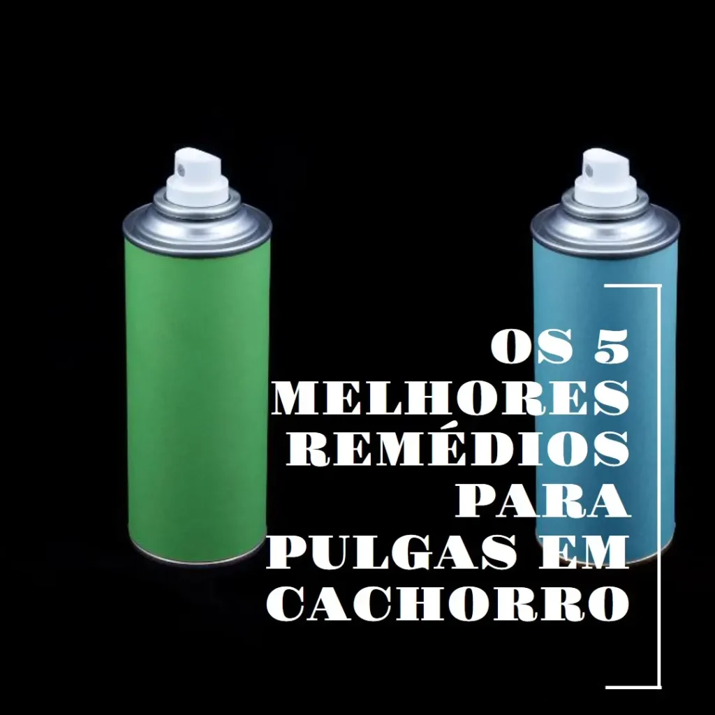 Principais 5 remédio para pulgas em cachorro