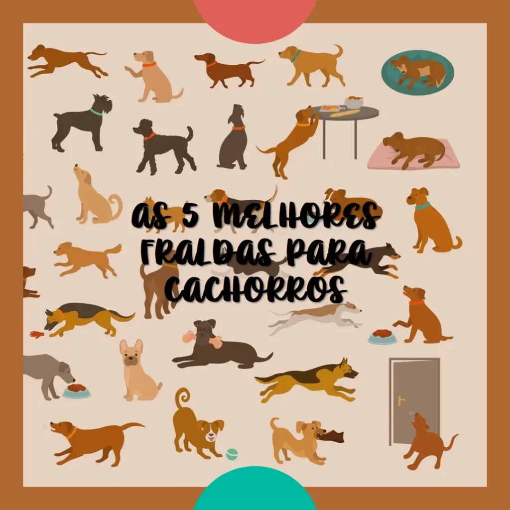 Top 5 Opções de fraldas para cachorros