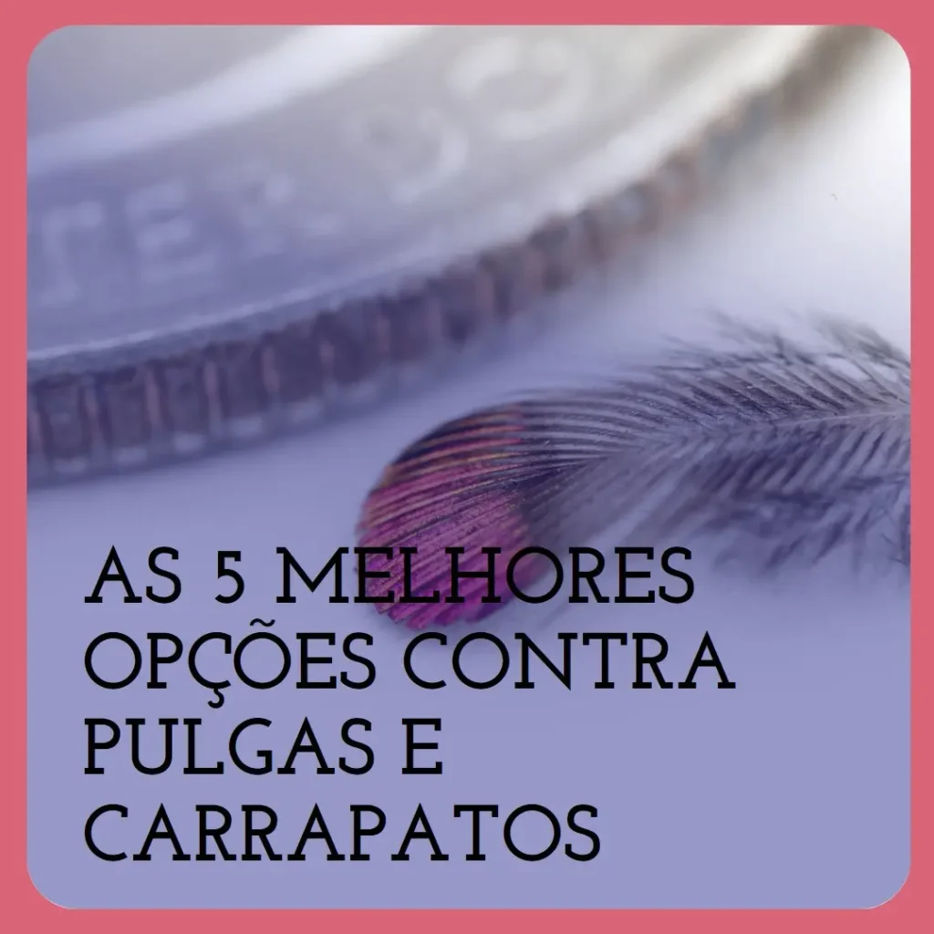 Top 5 Opções de anti pulgas e carrapatos