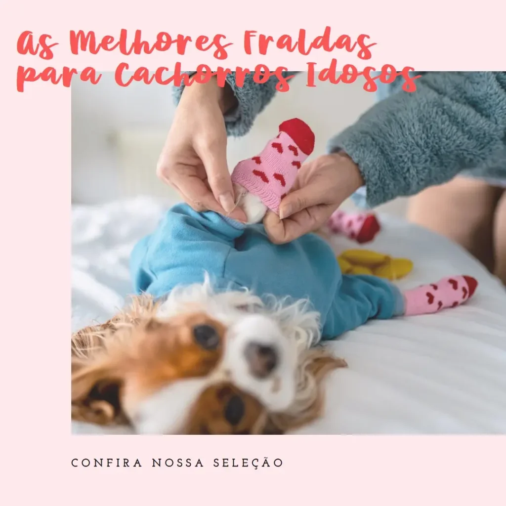 Melhores 5 fralda cachorro idoso