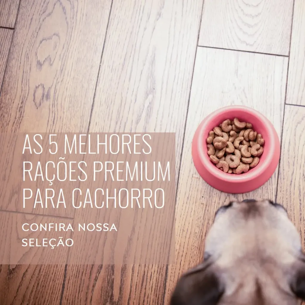 Top Cinco racoes premium cachorro