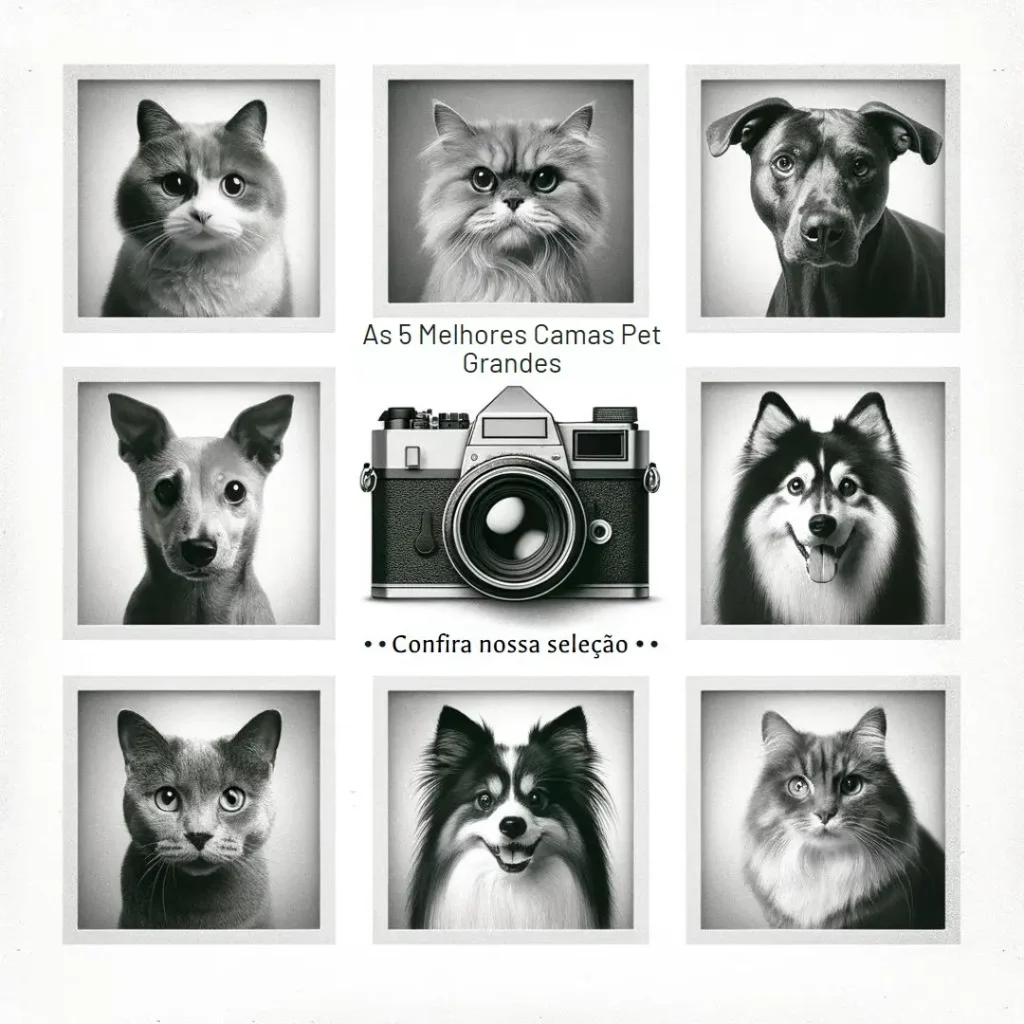 Principais 5  cama pet grande