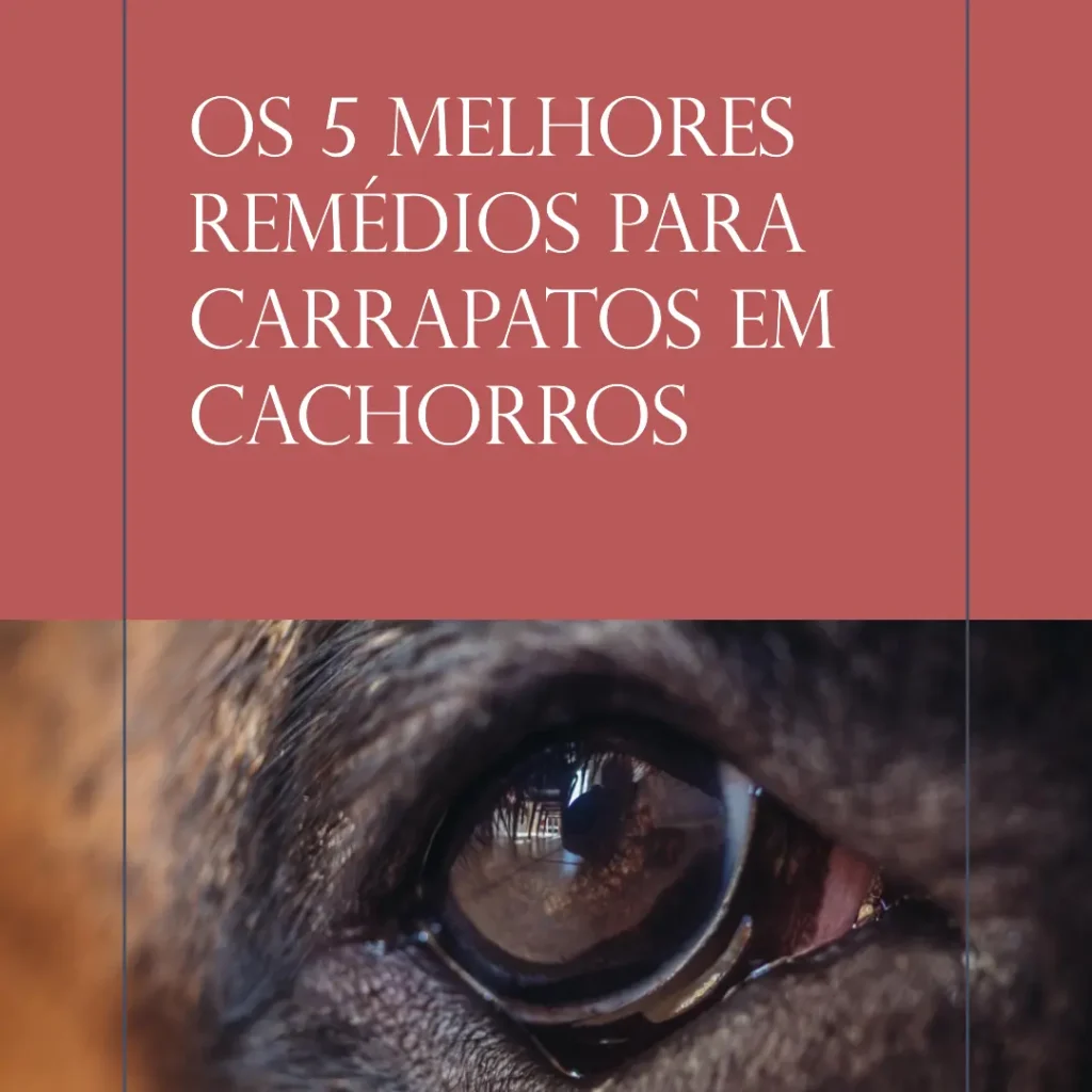 Principais Cinco remédio para carrapato cachorro