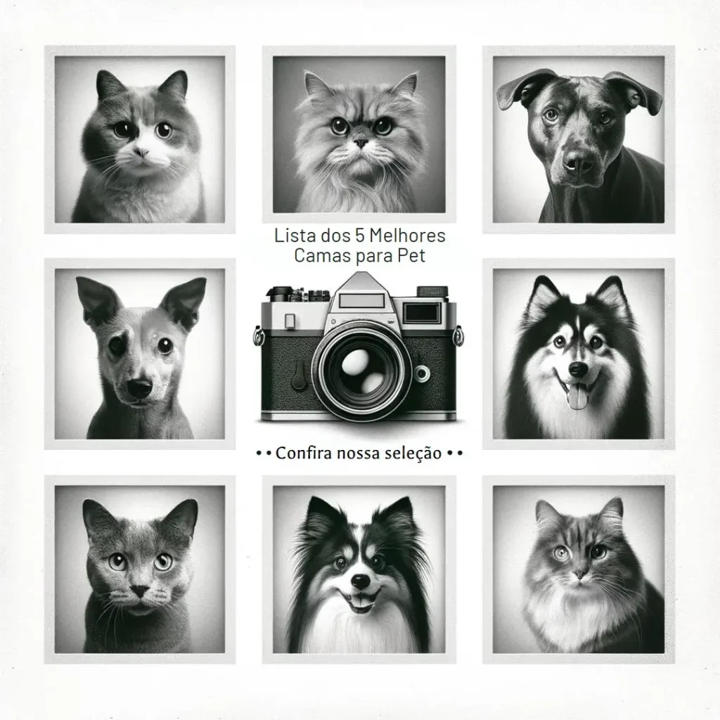 Lista de 5 Melhores: cama para pet