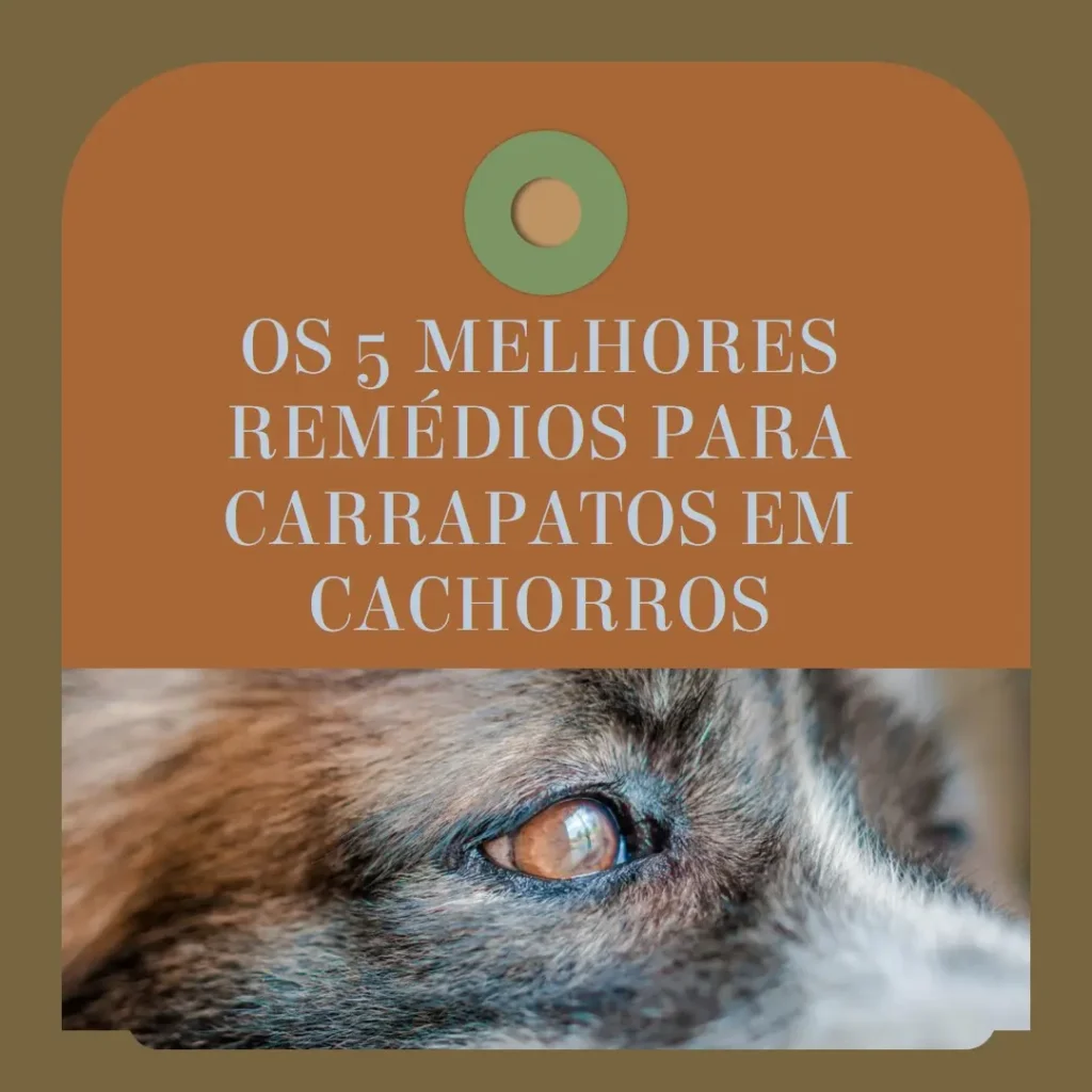 Principais Cinco remédio para carrapato para cachorro