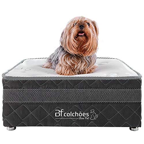 Cama Box Pet + Lençol Impermeável para Cachorros e Gatos Luxo Bf Colchões