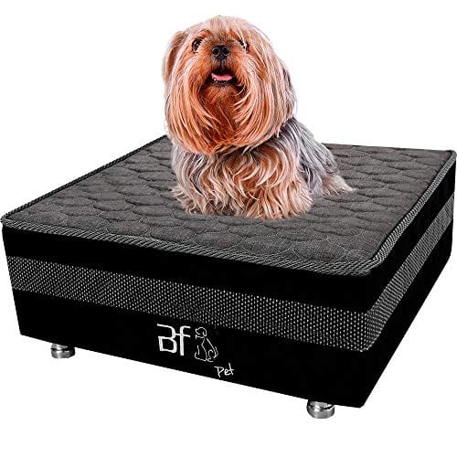 CAMINHA BOX PET COM LENCOL IMPERMEAVEL BRANCO GATOS CACHORRO