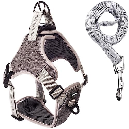 Coleira Peitoral Antipuxão Comfort com Guia de Passeio (M, Cinza)