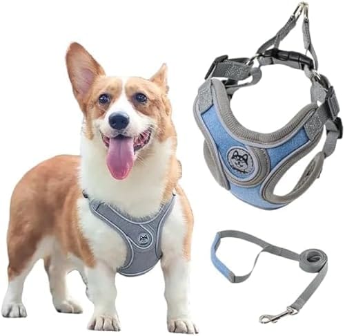 Coleira Peitoral para Cachorros Ajustável com Guia de Passeio (Azul, M)