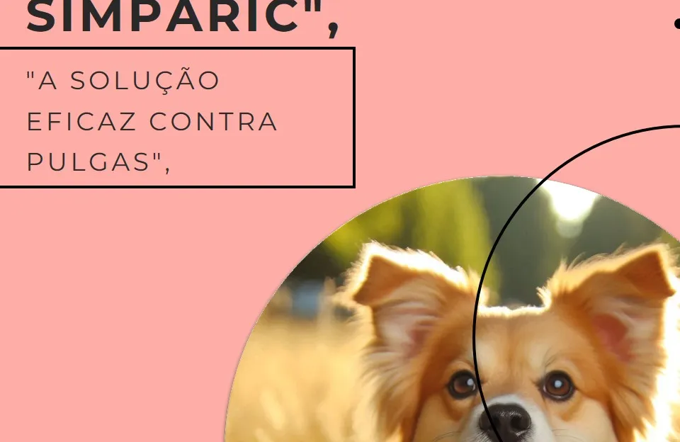 Ração Three Dogs Original para Cães Adultos: Benefícios e Por Que Escolher