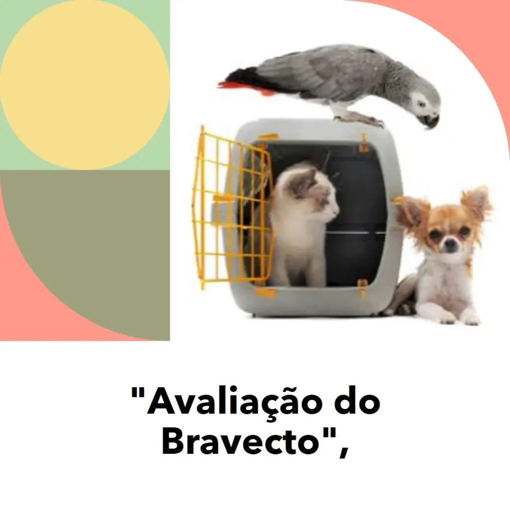 Bravecto Anti Pulgas e Carrapatos: Comprimido Mastigável para Cães de 10-20kg