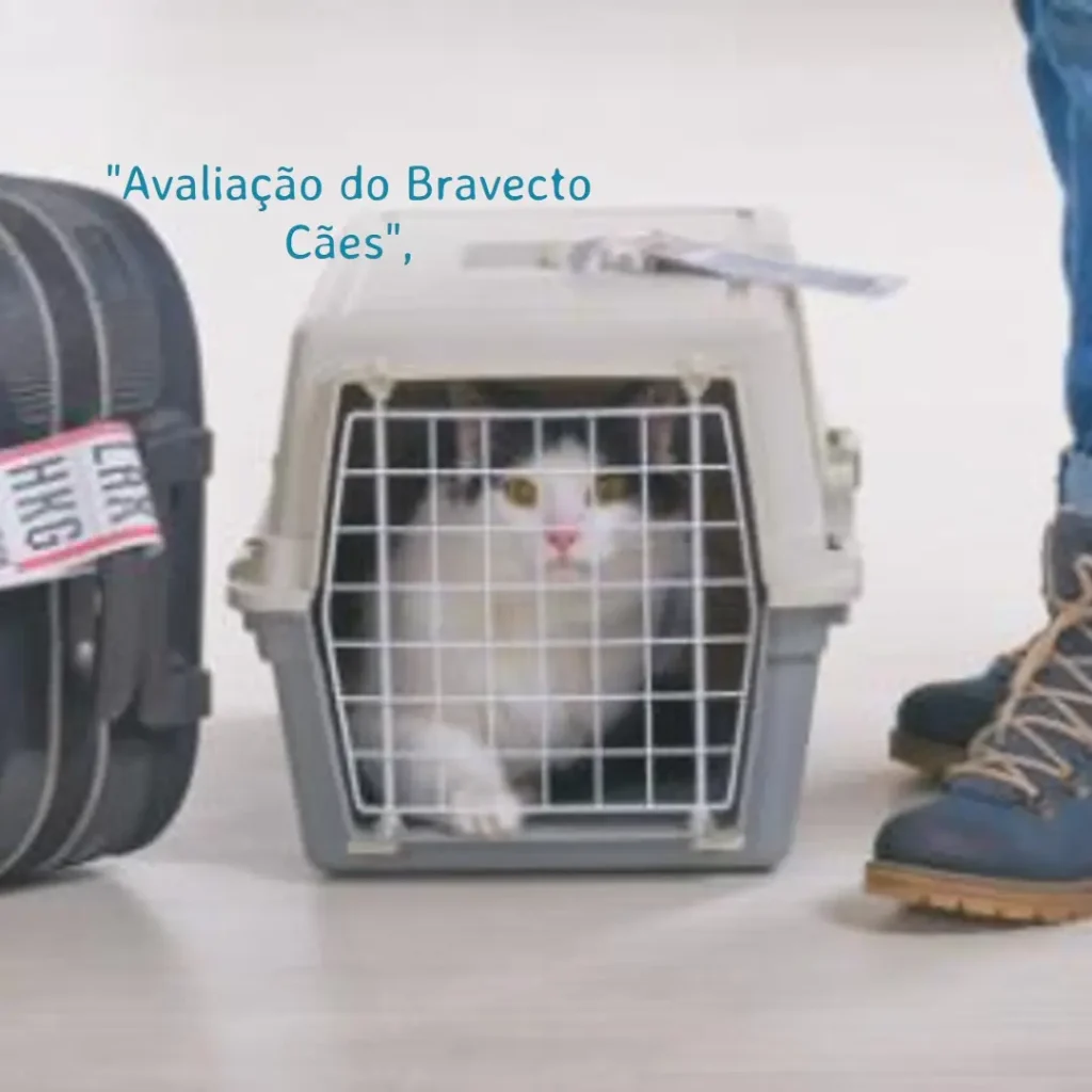 Bravecto Cães: Proteção Completa para Cães de 40 a 56kg