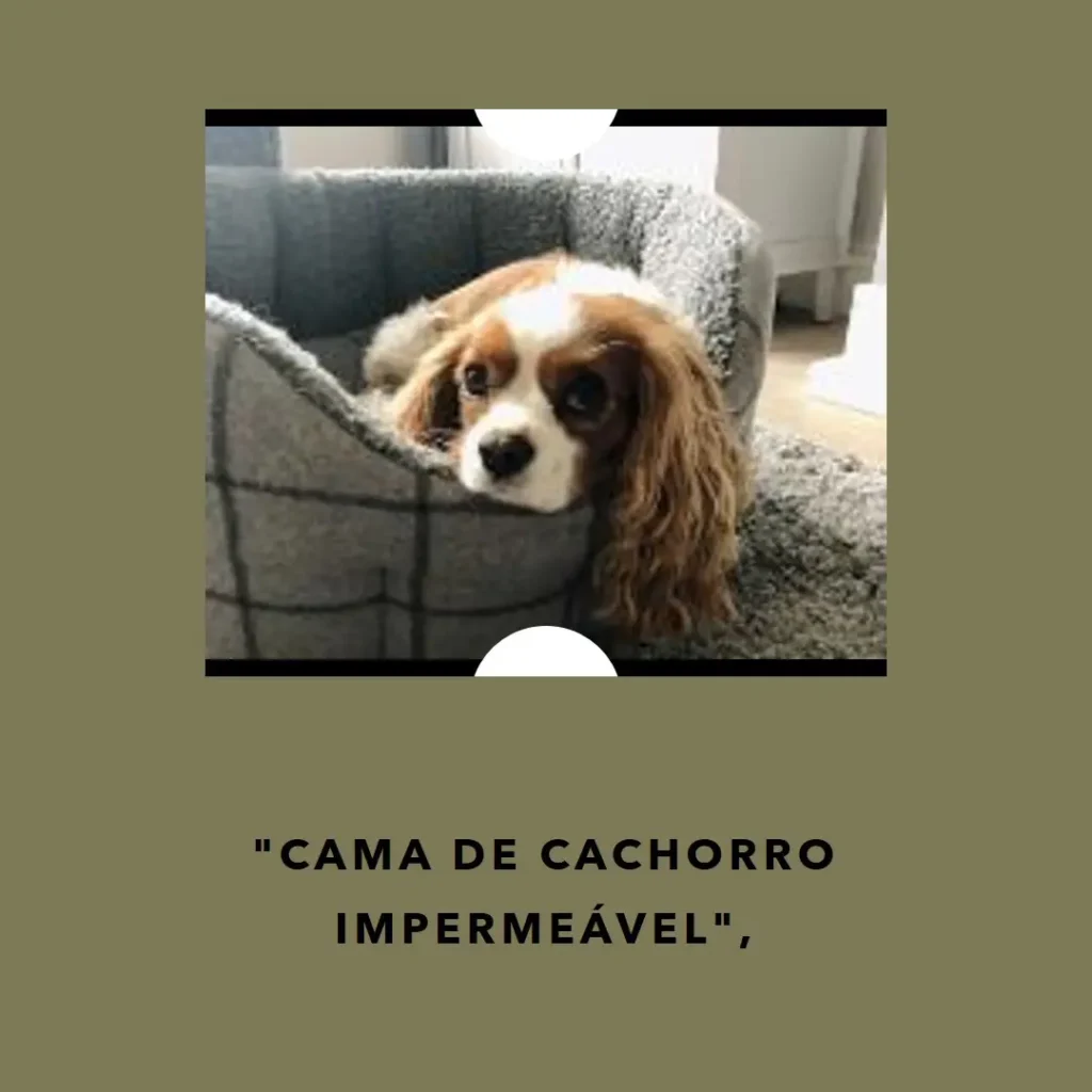 Cama de Cachorro Impermeável Waterblock com Proteção UV Lola