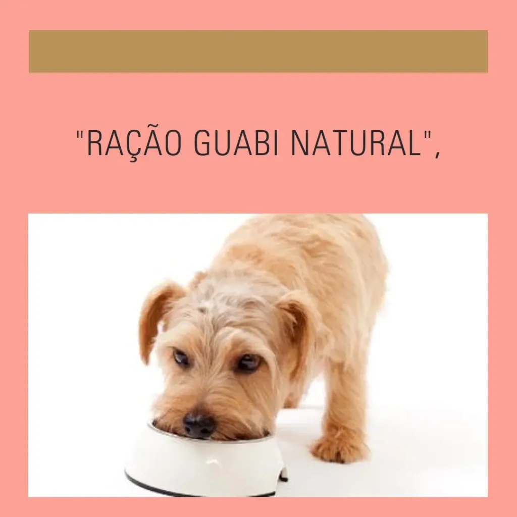 Ração Guabi Natural Cães Adultos Médio Frango e Arroz 12 kg: Nutrição Completa para Seu Pet