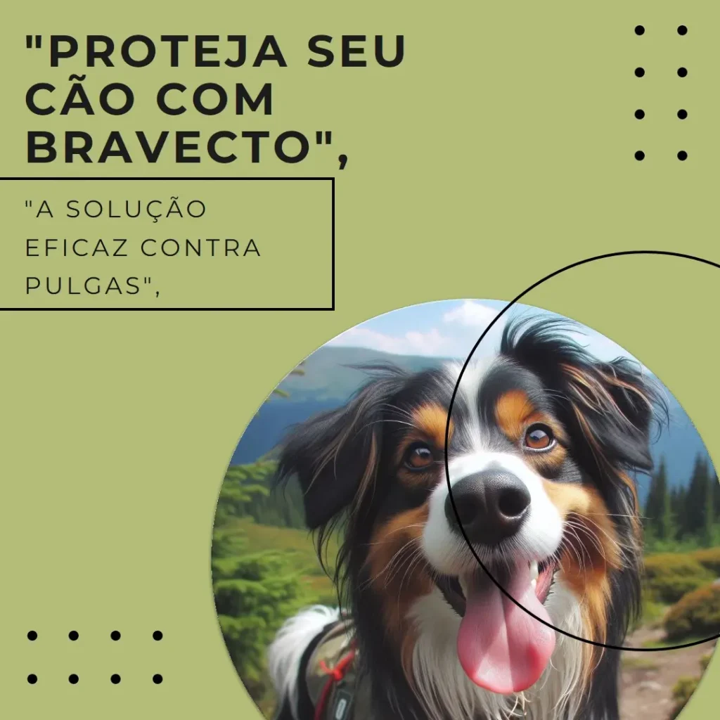 Bravecto Cães Antipulgas e Carrapatos MSD 500mg: Proteção Completa