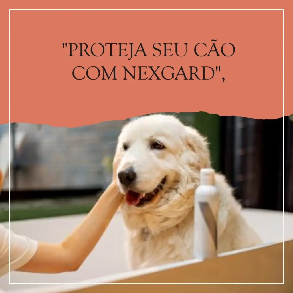 Antipulgas e Carrapatos Nexgard para Cães: Proteção Garantida